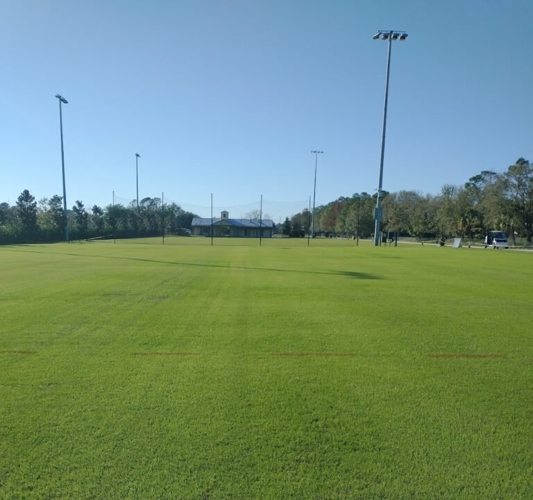 Soccer Field image 3
