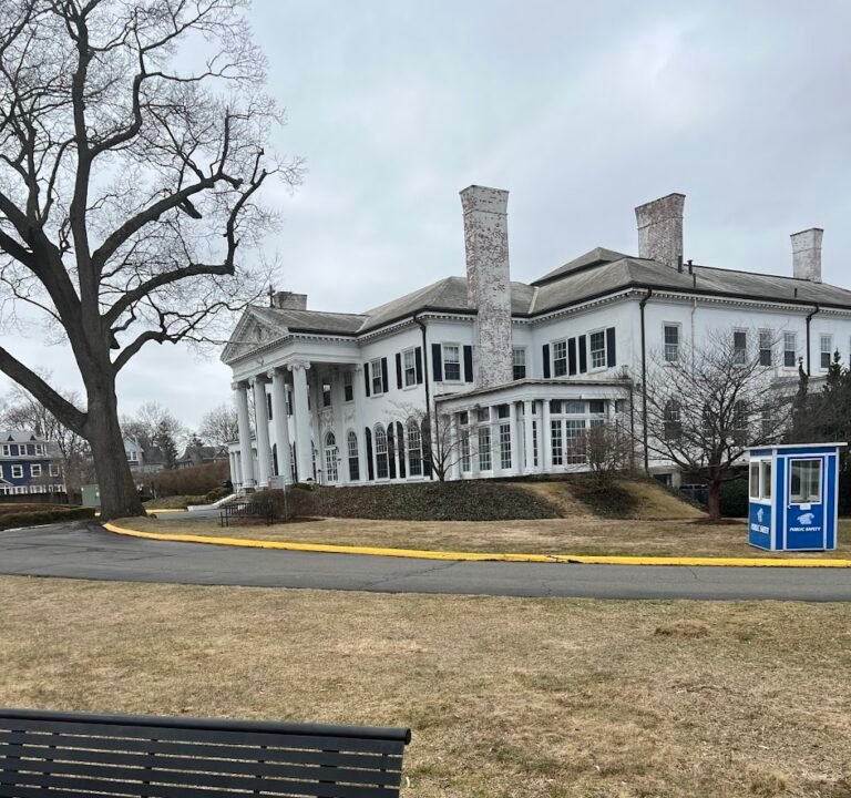 Soccer Field image 3