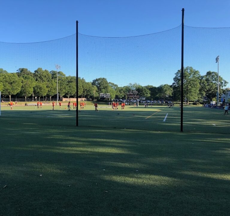 Soccer Field image 2