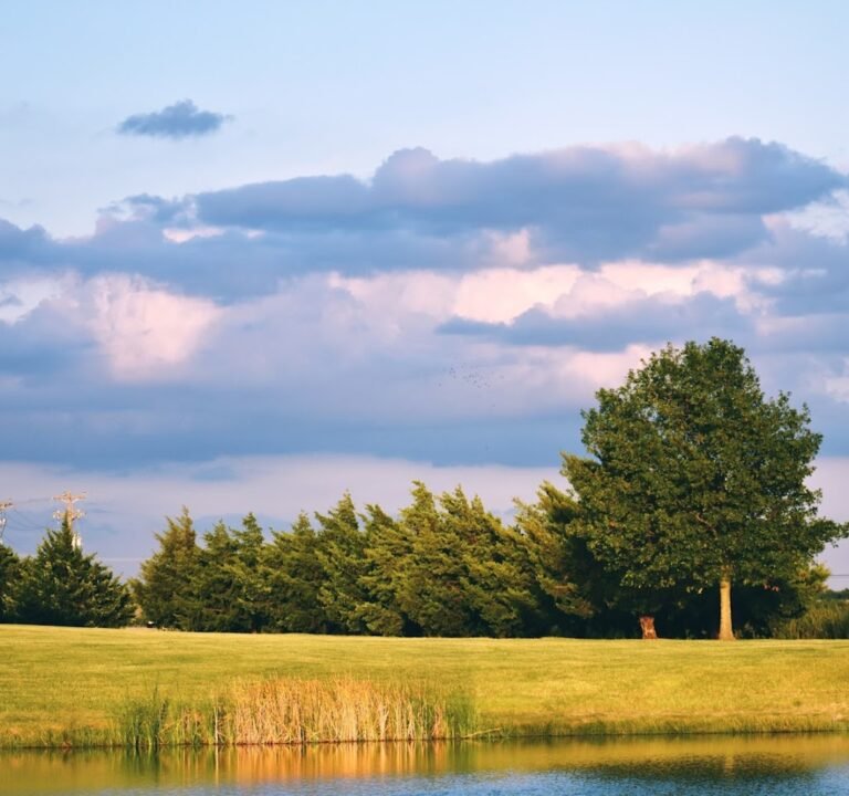 Soccer Field image 2