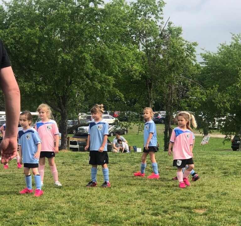 Soccer Field image 2