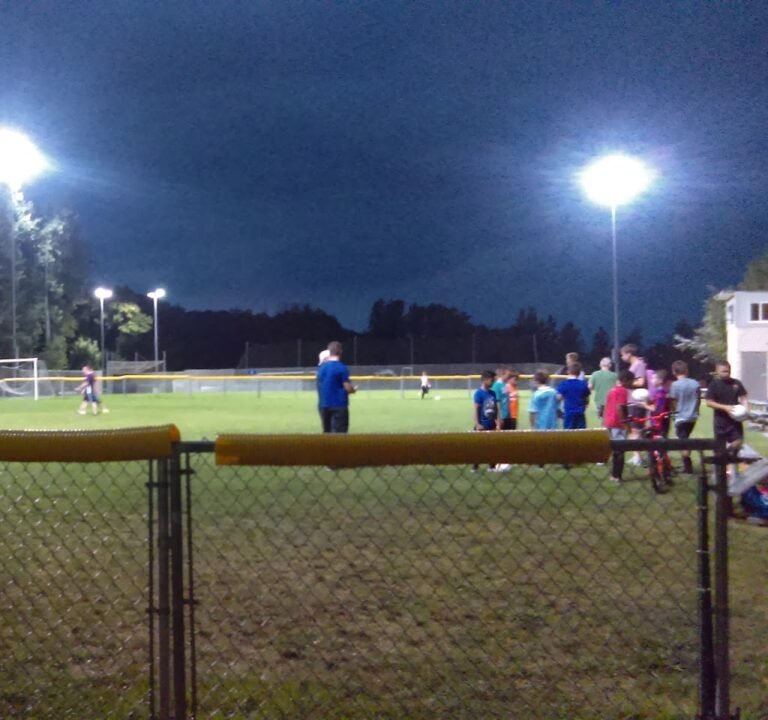 Soccer Field image 2