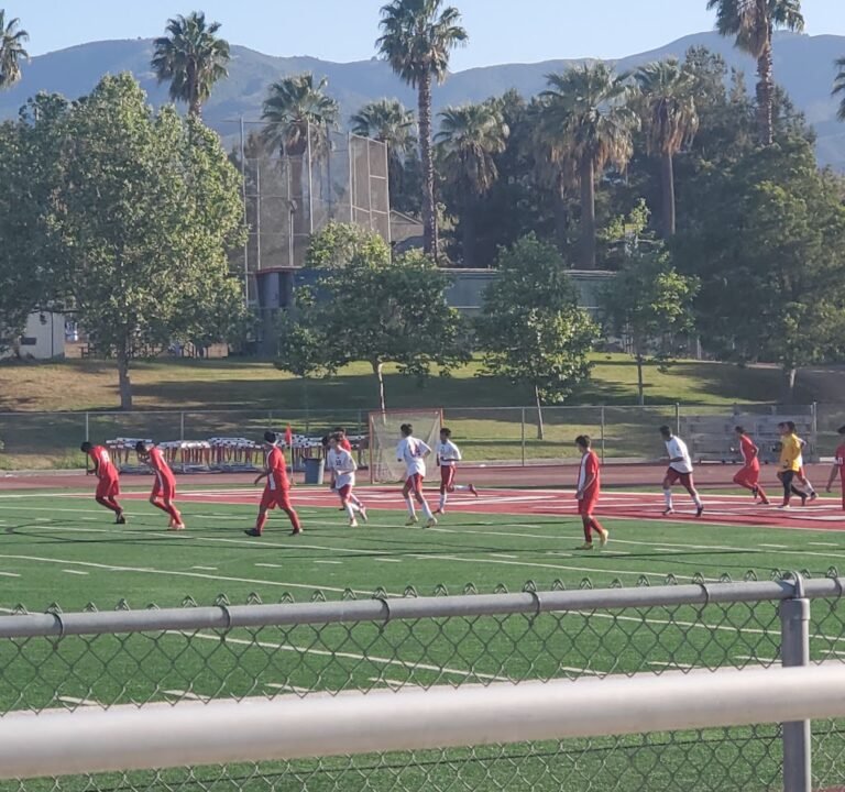 Soccer Field image 3