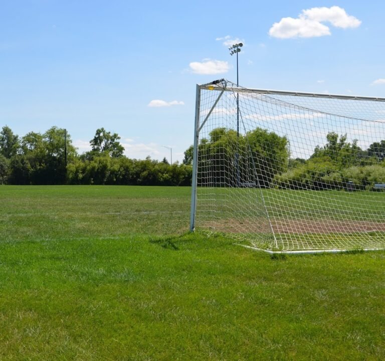 Soccer Field image 3