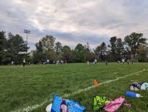 Soccer Field image 1