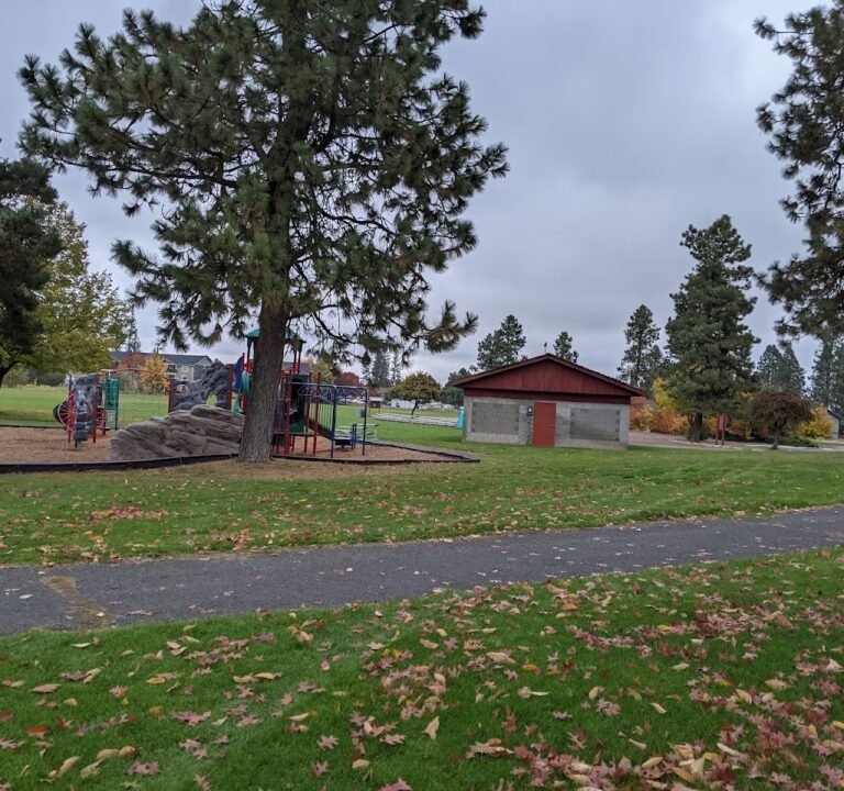 Soccer Field image 2