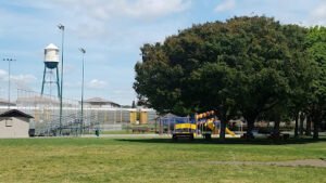Soccer Field image 1