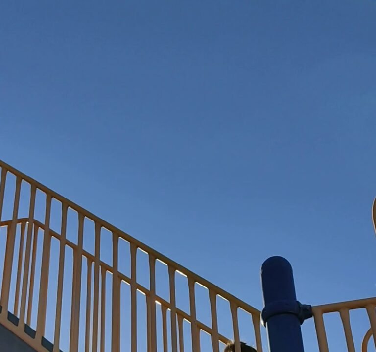 Soccer Field image 4