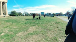 Soccer Field image 1