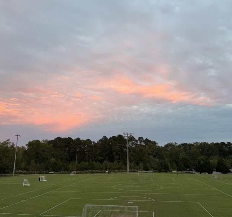 Soccer Field image 2
