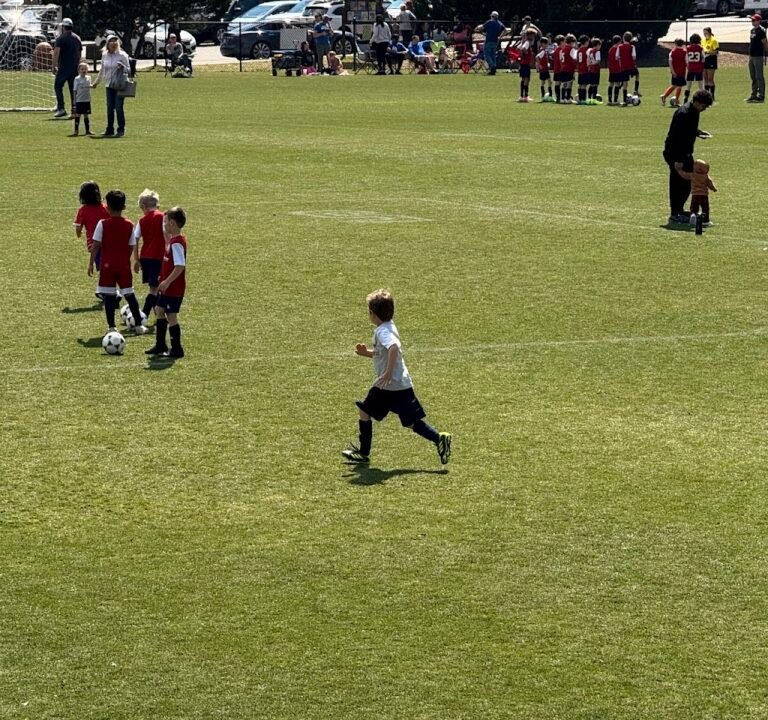 Soccer Field image 3