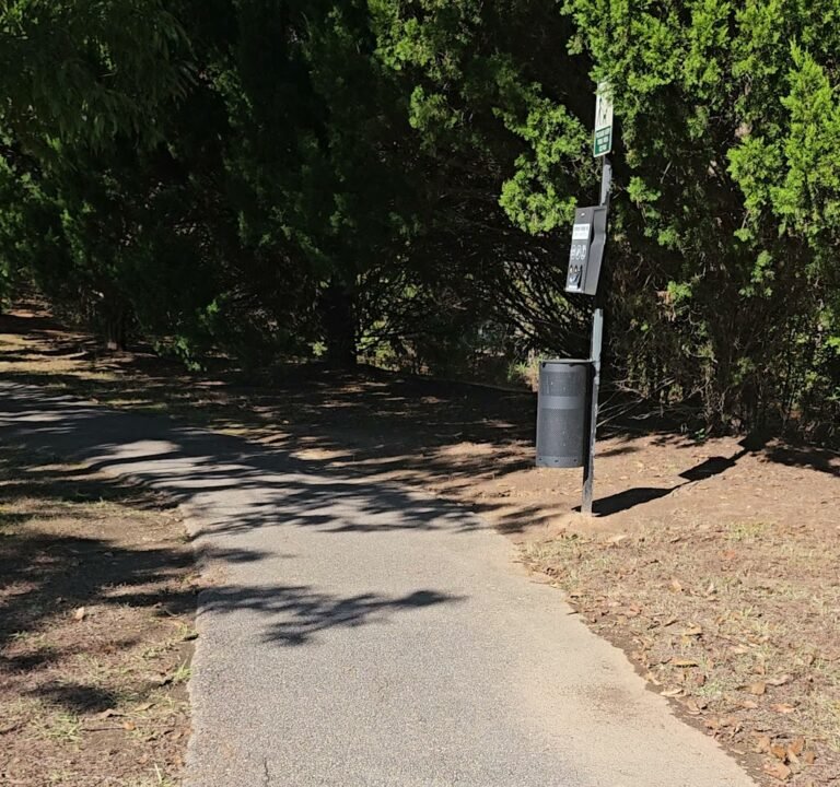 Soccer Field image 4