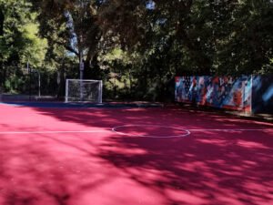 Soccer Field image 1