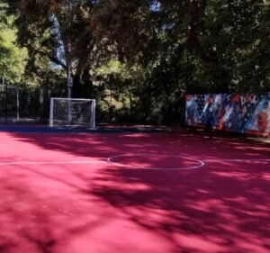Soccer Field image 2