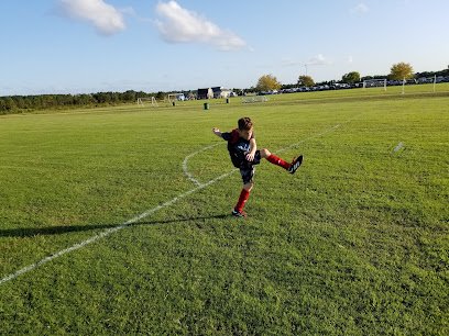 Soccer Field image 1