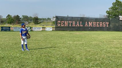 Soccer Field image 1