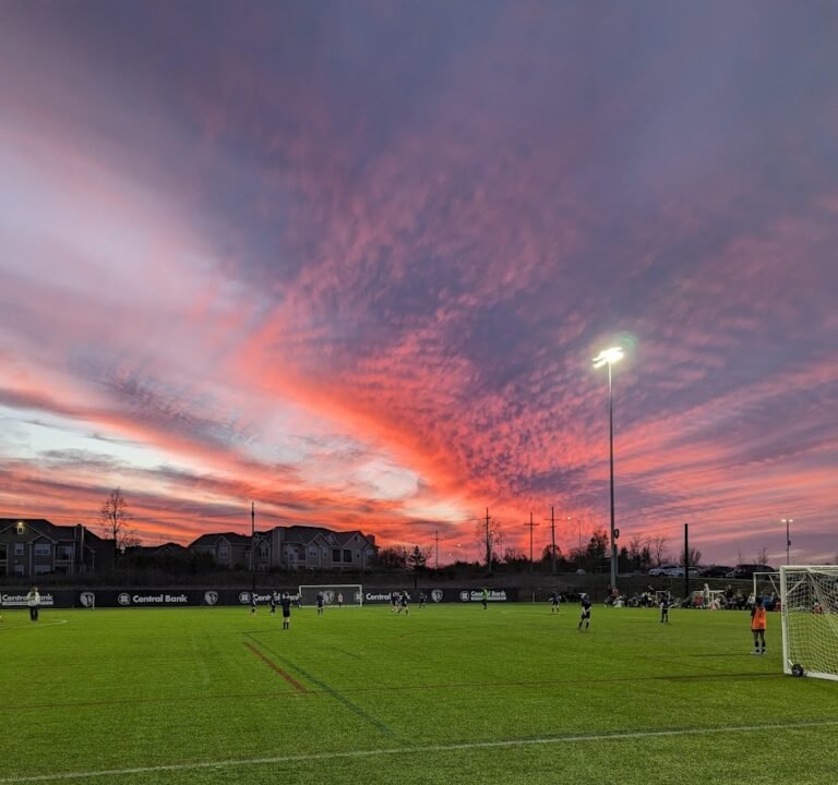 Soccer Field image 3