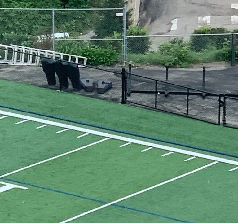 Soccer Field image 2