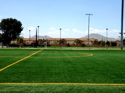 Soccer Field image 1