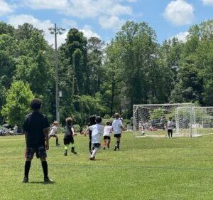 Soccer Field image 2