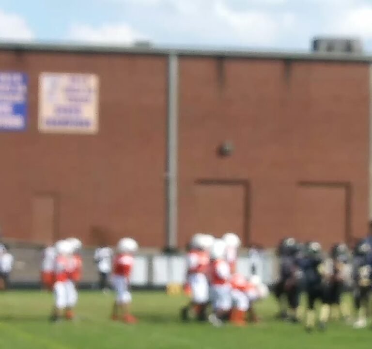 Soccer Field image 3