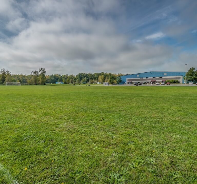 Soccer Field image 2