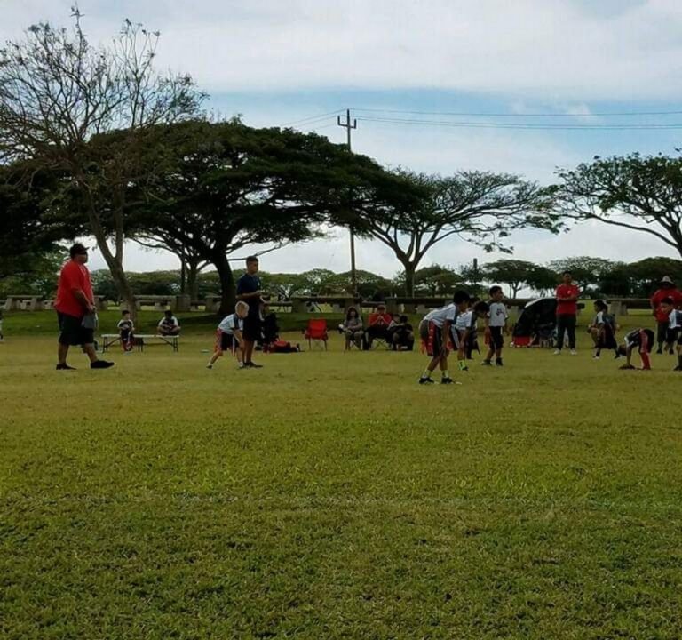 Soccer Field image 3