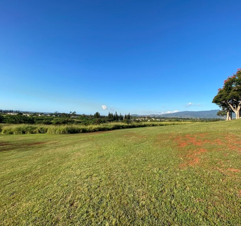 Soccer Field image 2