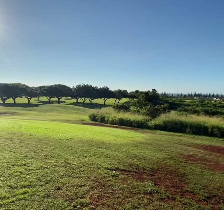 Soccer Field image 4