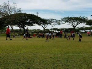 Soccer Field image 1