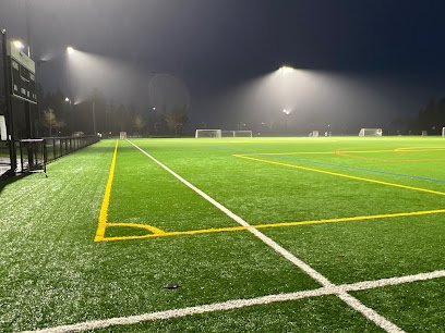 Soccer Field image 1