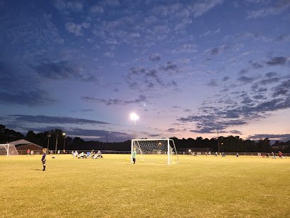 Soccer Field image 1