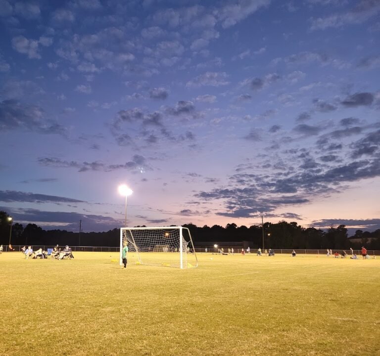 Soccer Field image 2