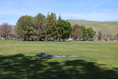 Soccer Field image 1