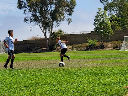 Soccer Field image 1