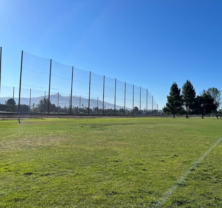 Soccer Field image 2