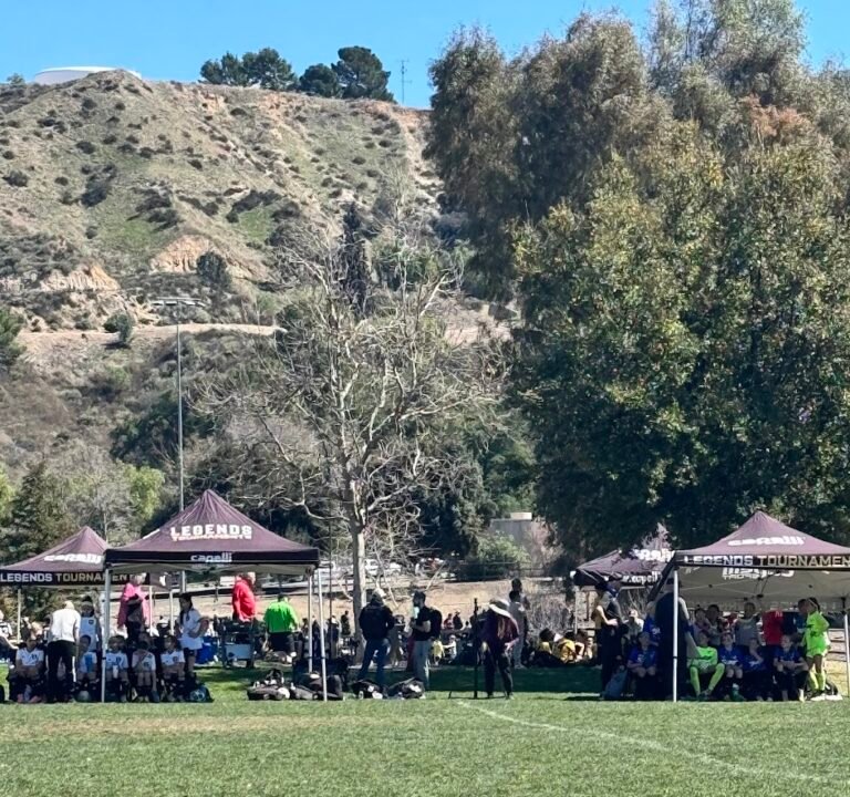 Soccer Field image 3