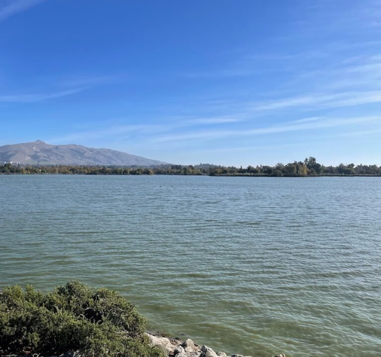 Soccer Field image 2