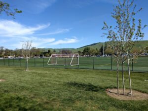 Soccer Field image 1