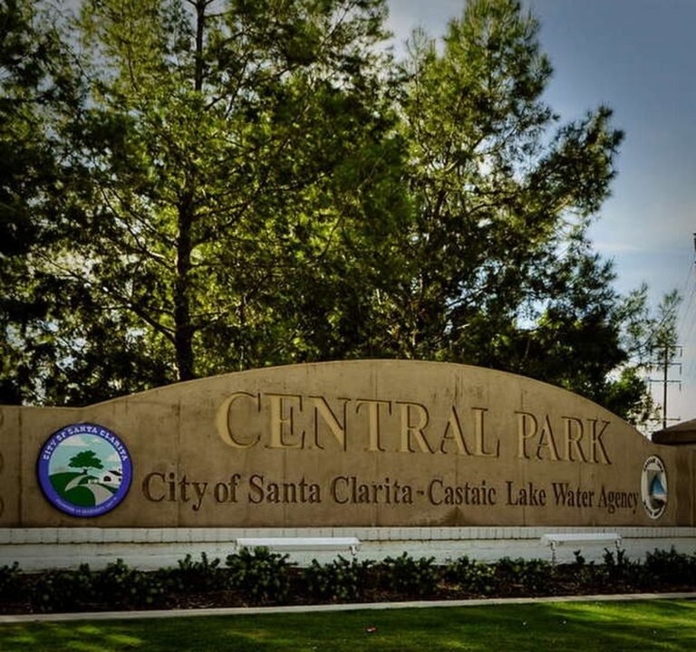 Soccer Field image 2