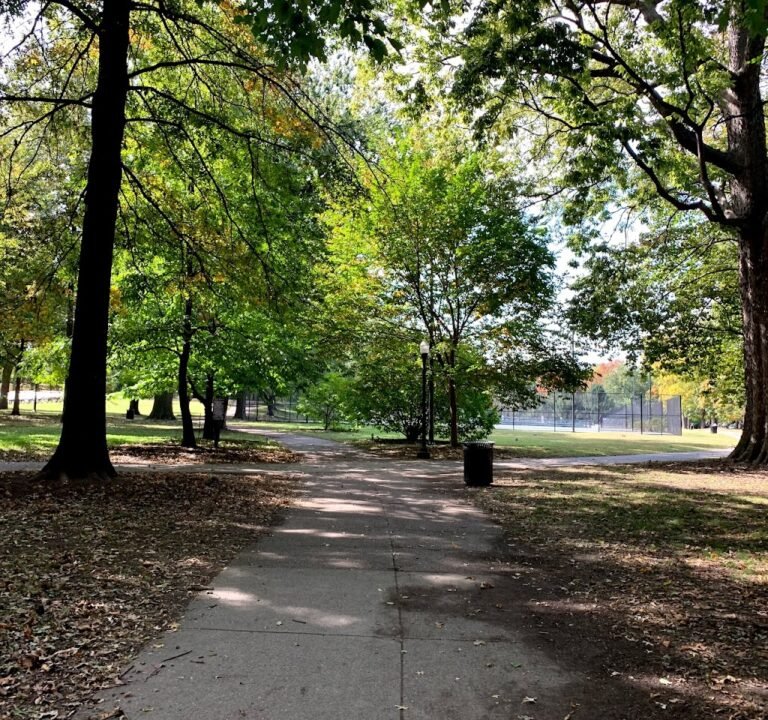 Soccer Field image 2