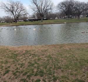 Soccer Field image 3