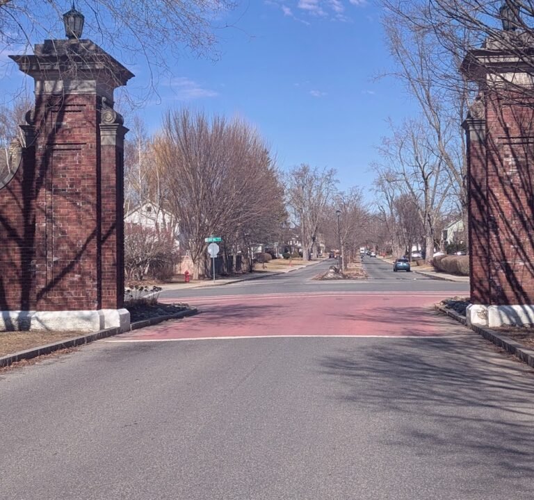 Soccer Field image 3
