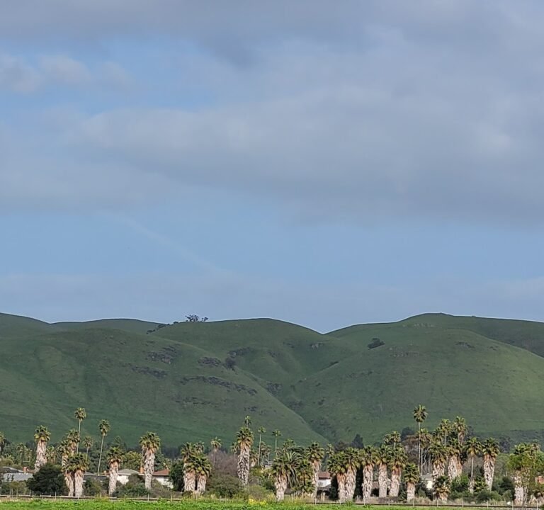 Soccer Field image 3