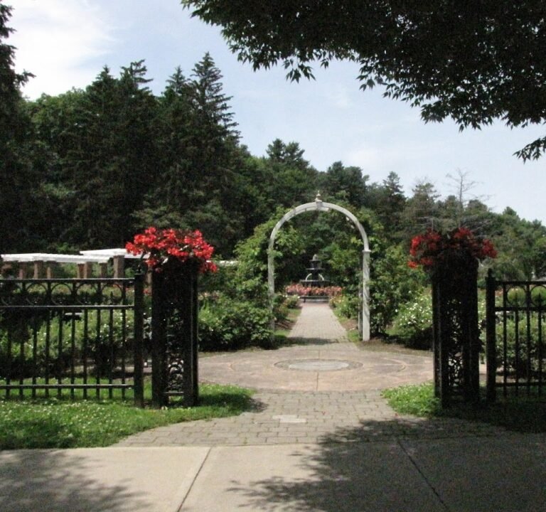 Soccer Field image 2