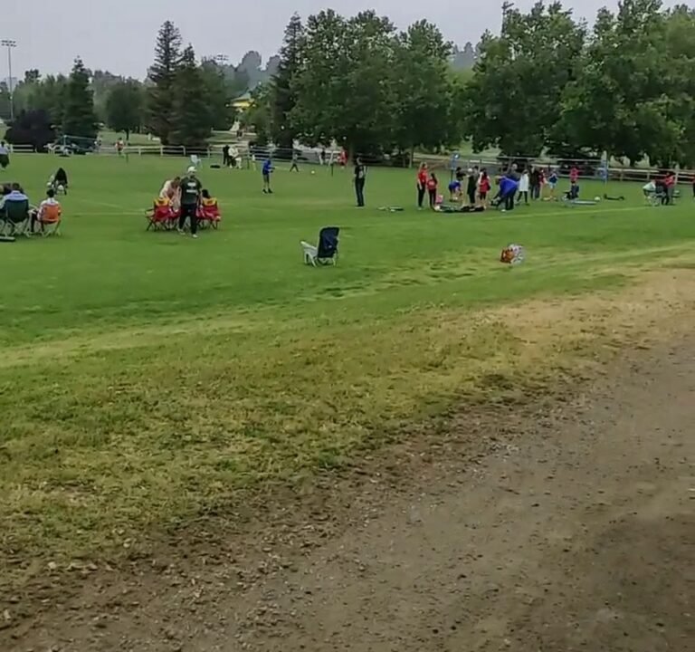 Soccer Field image 4