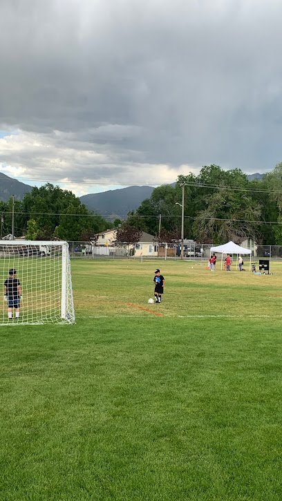 Soccer Field image 1