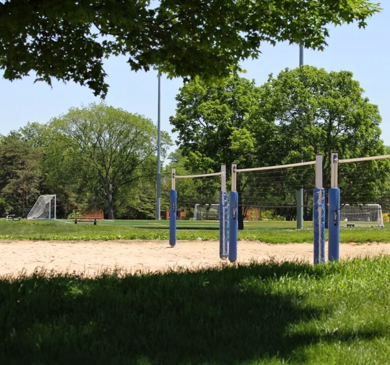 Soccer Field image 2