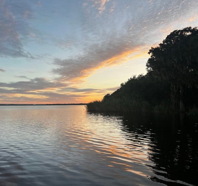 Soccer Field image 3