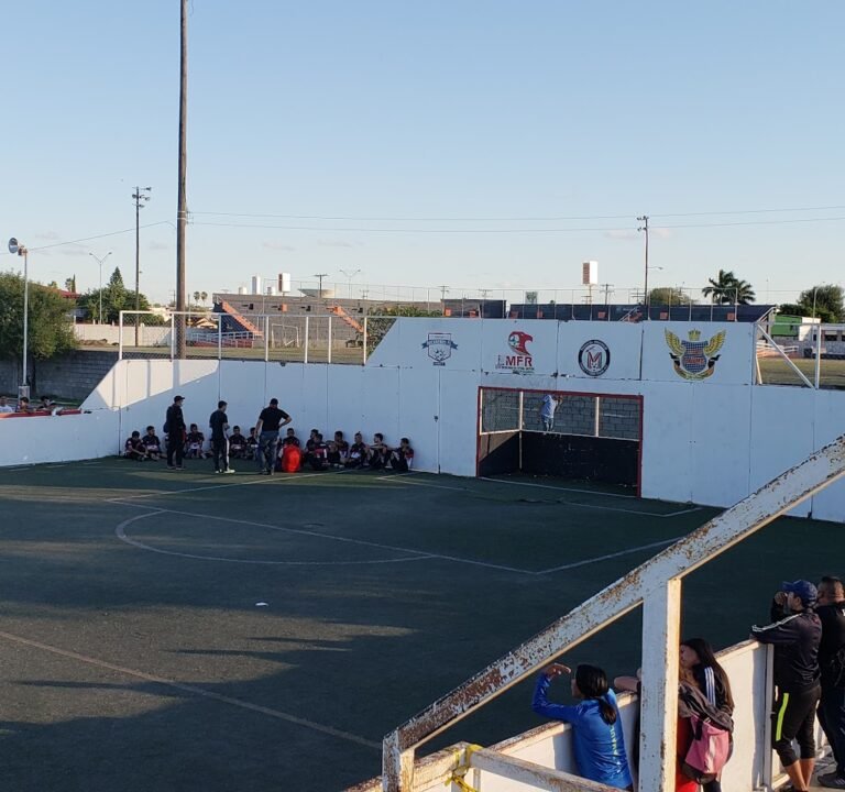 Soccer Field image 2